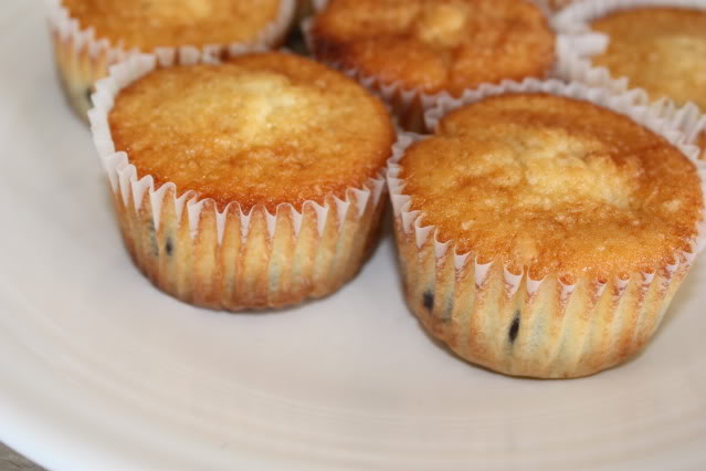 Chocolate Chip Muffins