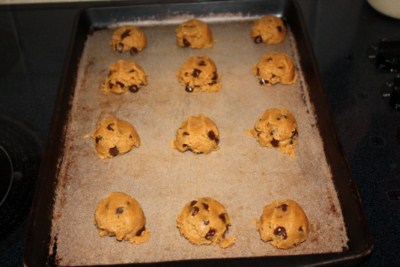 emerils flourless pb cookies 2