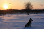 The View From My House After the Oklahoma Blizzard Of 2011
