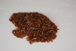 What Is It Wednesday {Item Twenty}