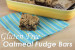 Gluten Free Fudge Bars