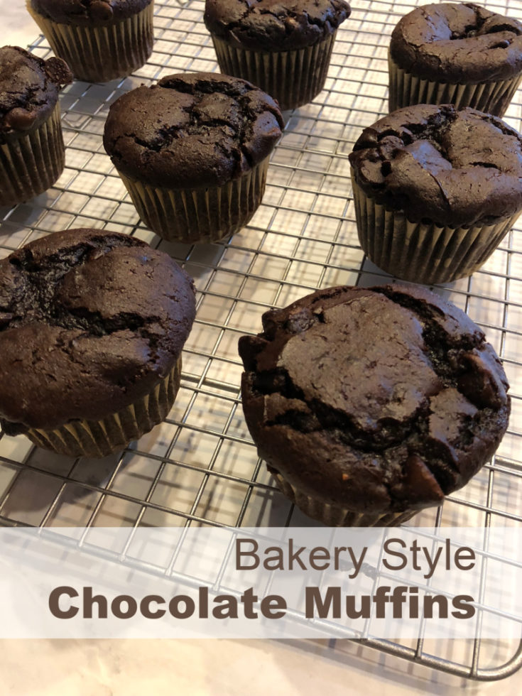 Chocolate Muffins