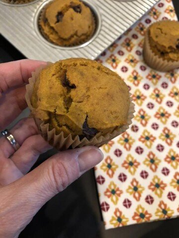 Pumpkin Chocolate Chip Muffin