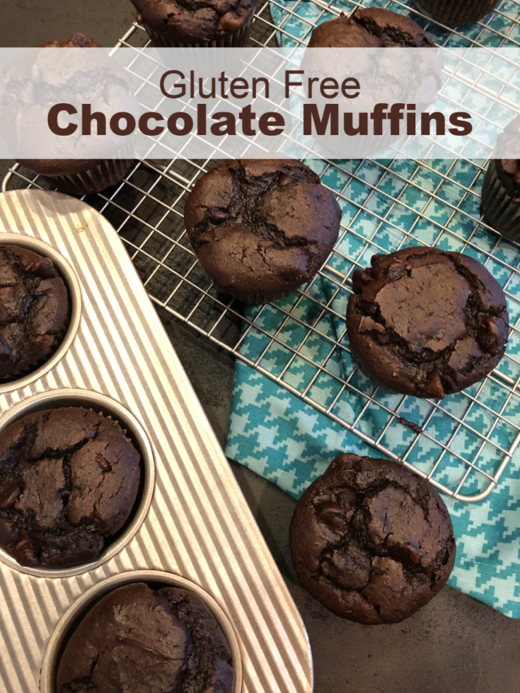 Gluten Free Chocolate Muffins