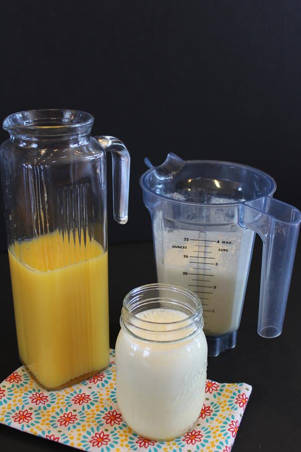 Homemade Orange Julius