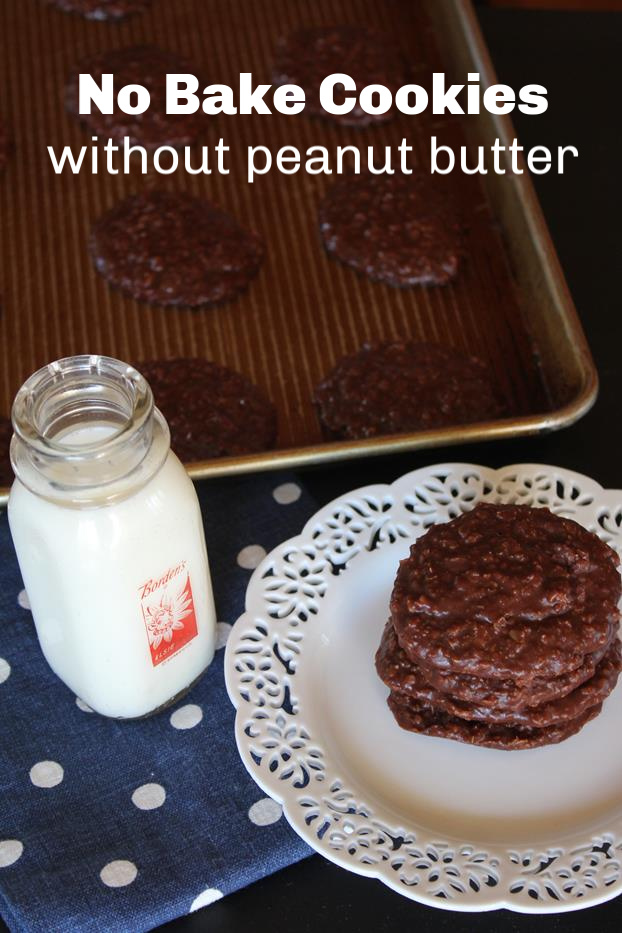 No Bake Cookies without Peanut Butter