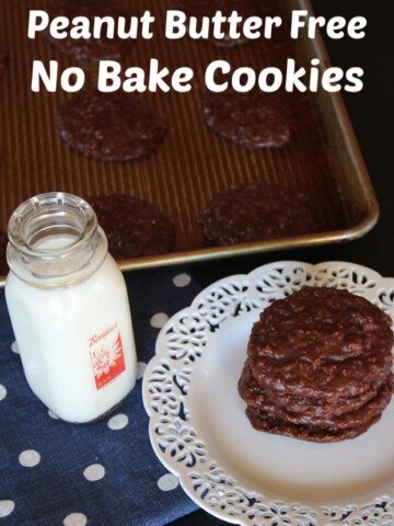 Peanut Butter Free No Bake Cookies
