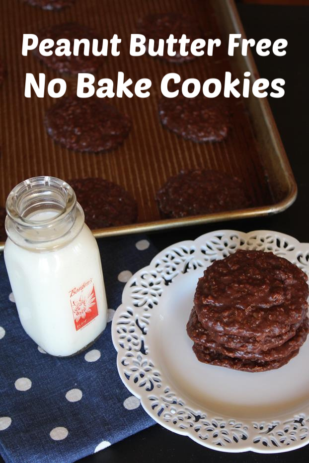 Peanut Butter Free No Bake Cookies
