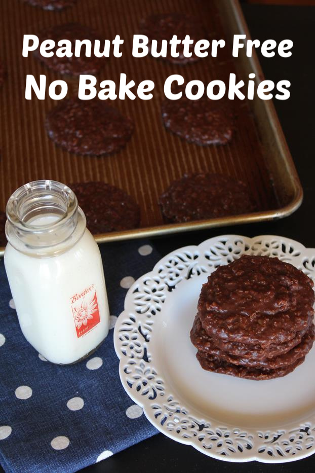 Peanut Butter Free No Bake Cookies 