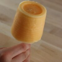 Yogurt Pops