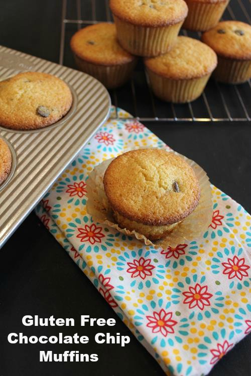 Gluten Free Chocolate Chip Muffins