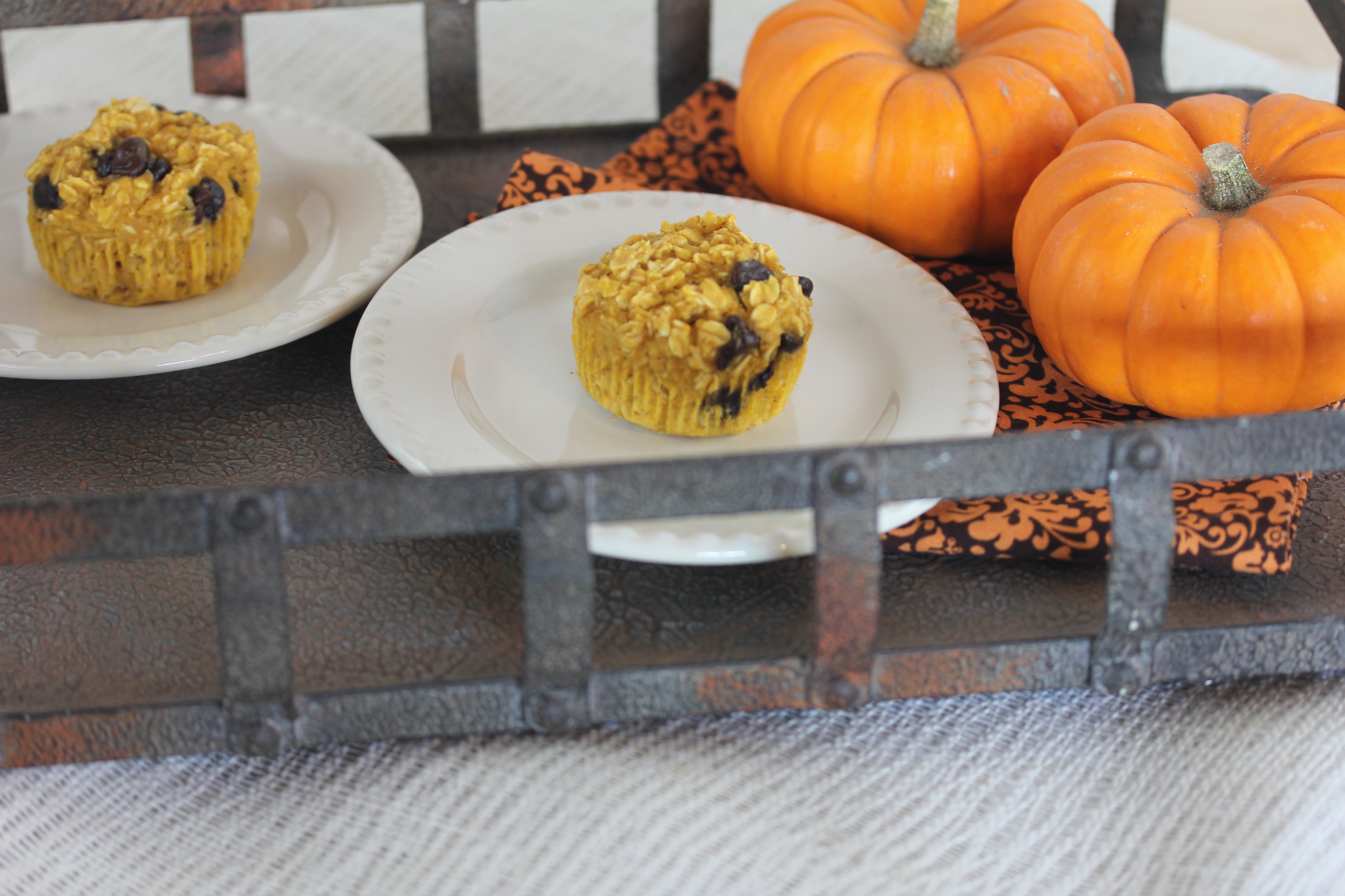 Baked Chocolate Chip Pumpkin Oatmeal Muffin