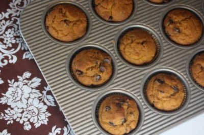 Gluten Free Chocolate Chip Honey Muffins