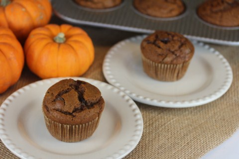 gluten free double chocolate pumpkin muffins