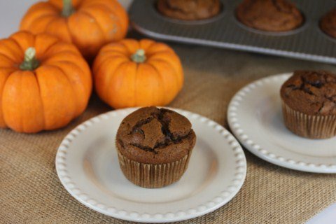 Gluten Free Double Chocolate Pumpkin Muffins 