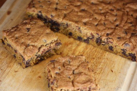 gluten-free-chocolate-chip-pumpkin-bars-pictures