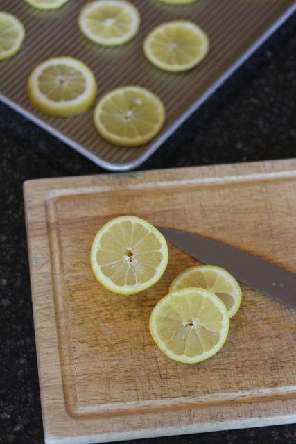 Freezing Lemons for Ice Water-