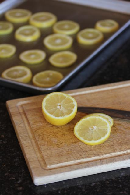 Freezing Lemons for Ice Water 5