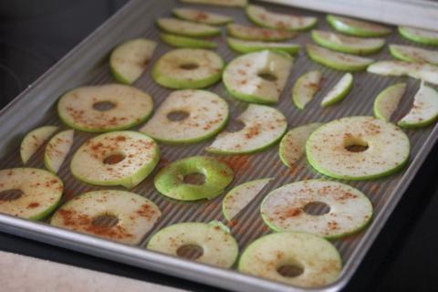 Homemade Apple Chips 2