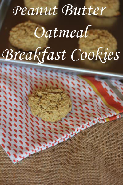 peanut oatmeal breakfast cookies