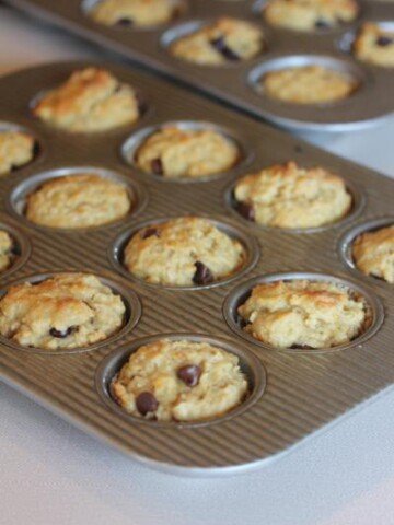 oatmeal breakfast muffins