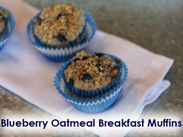 blueberry oatmeal breakfast muffins