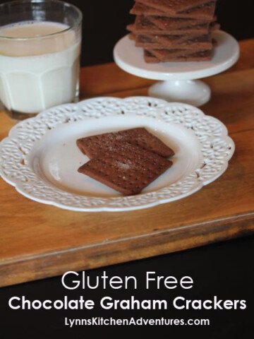gluten free chocolate graham crackers