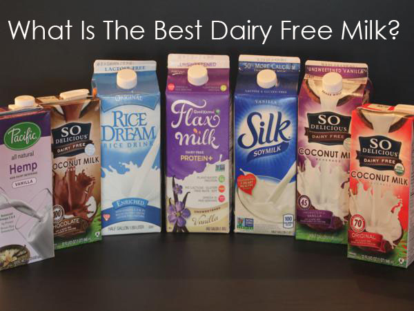 What is the Best Dairy Free Milk