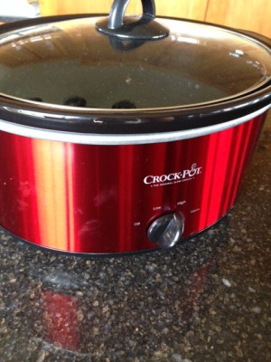 Crock Pot