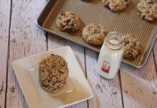 Flourless Oatmeal Cookies