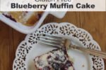 Gluten Free Blueberry Muffin Snack Cake