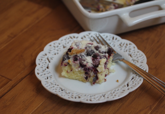 Gluten Free Blueberry Muffin Snack Cake_