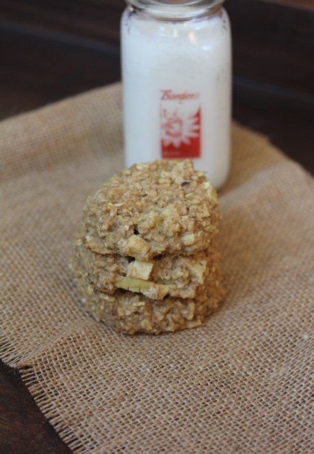 Apple Oatmeal Breakfast Cookie