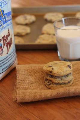 Bob's Red Mill Gluten Free 1 to 1 Flour