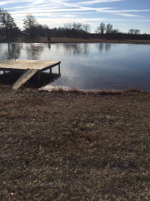 frozen pond