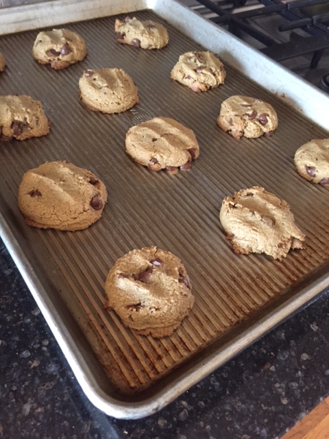 sunbutter cookies