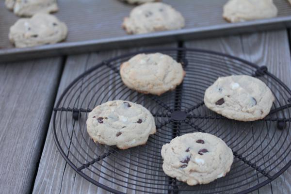 Double Chocolate Pudding Cookies_