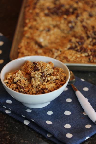 Chocolate Chip Coconut Granola