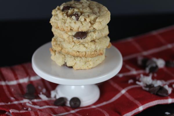 Gluten Free Coconut Oatmeal Cookies-