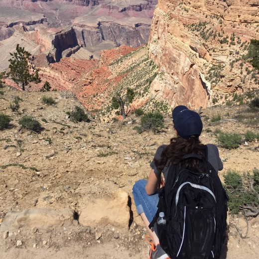 Grand Canyon Bri