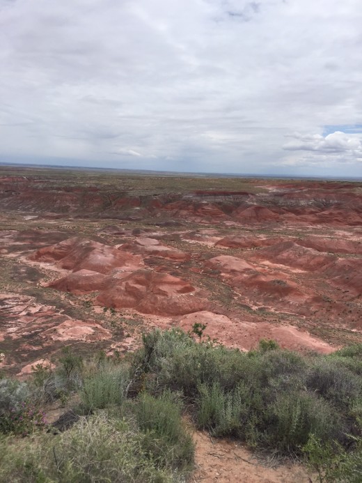 Painted Desert