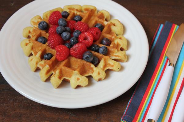 Light and Fluffy Dairy Free Waffles--