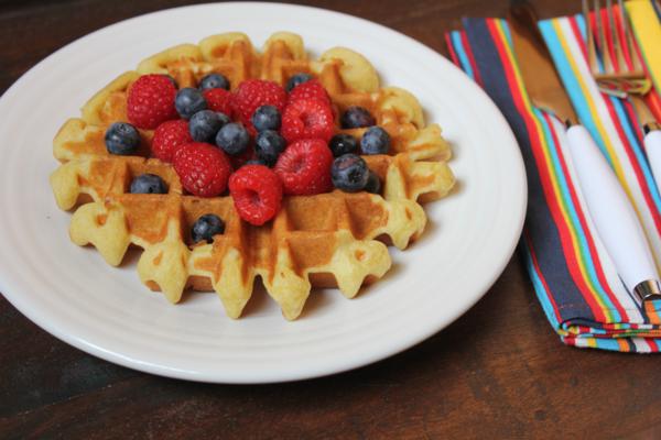 Light and Fluffy Dairy Free Waffles__