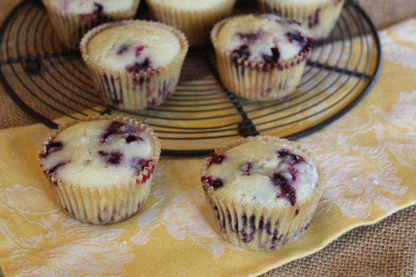 Lemon Blueberry Muffins__