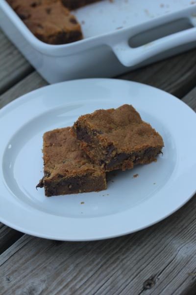 Flourless-Peanut Butter Bars__