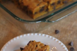 Chocolate Chip Pumpkin Bars