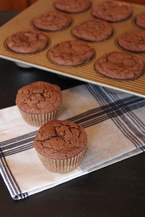 Gluten Free Double Chocolate Muffins