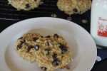 Chocolate Chip Coconut Breakfast Cookies