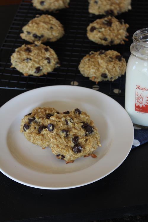 Chocolate Chip Coconut Breakfast Cookies