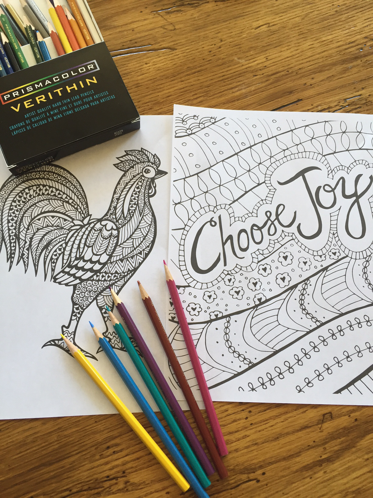 Everyday Adventures 71 {Costco, Books, Coloring, and More} Lynn's